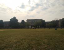 University Maharaja College Playground