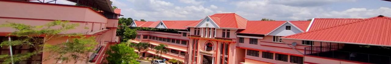 Catholicate College