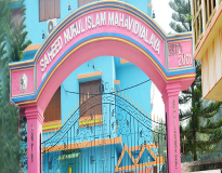 Saheed Nurul Islam Mahavidyalaya Entrance