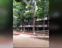 Government First Grade College, K.R.Puram Campus View