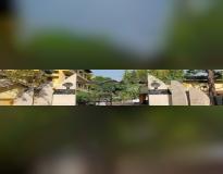 B Borooah College Others
