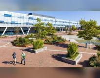 NHL Stenden Others(1)