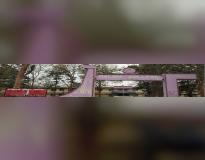 Dalmia College Others
