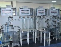 Indian Institute of Technology Kanpur (IIT Kanpur-Online) Others(7)