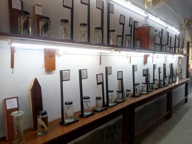Rampurhat College