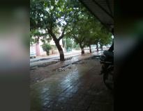 H and H B Kotak Institute of Science Campus View(1)