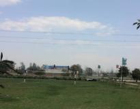 H.L.M. College Playground