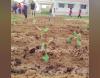 Himalayan College Others(2)