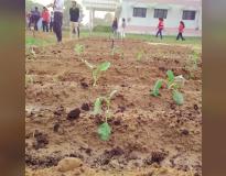Himalayan College Others(2)