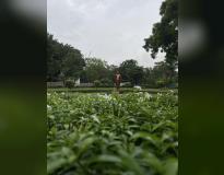 K J Somaiya Institute of Management Others(8)