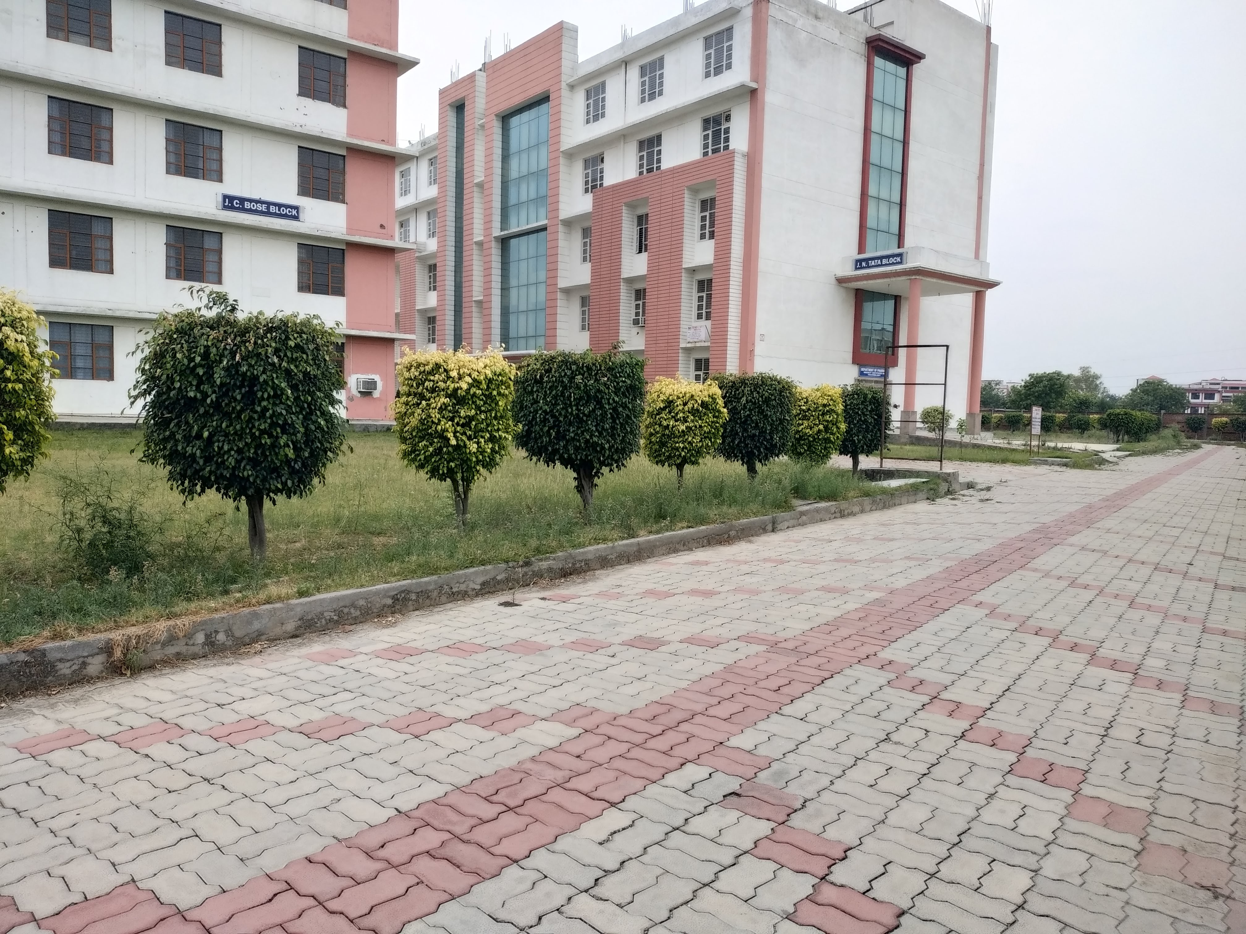 Campus View