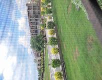 MIT Campus View(6) MIT Campus View(6)