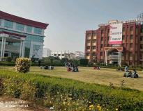 MIT Campus View(11) MIT Campus View(11)