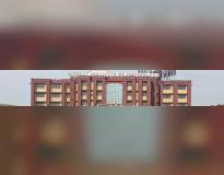 MIT Others MIT Others