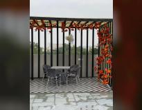 Zica Zima Naraina Others(4)