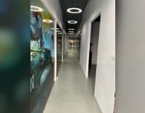 Zica Zima Naraina Others(6) Zica Zima Naraina Others(6)