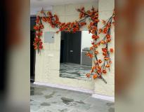 Zica Zima Naraina Others(15) Zica Zima Naraina Others(15)