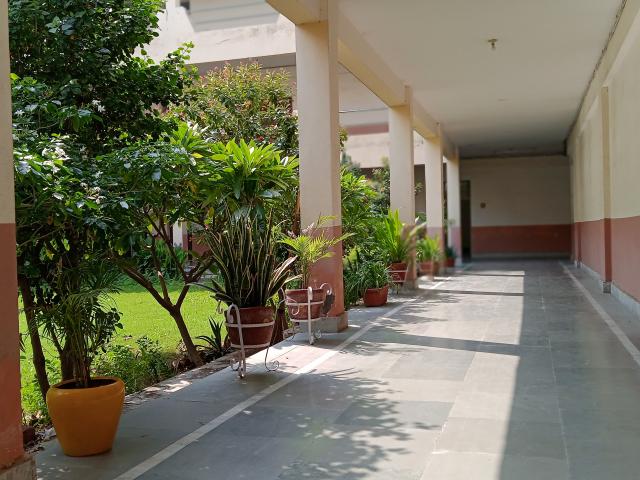 Pt. L.R. College of Pharmacy