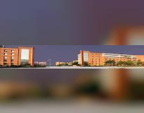 Cologne Business School Powered by Amity University Online Others