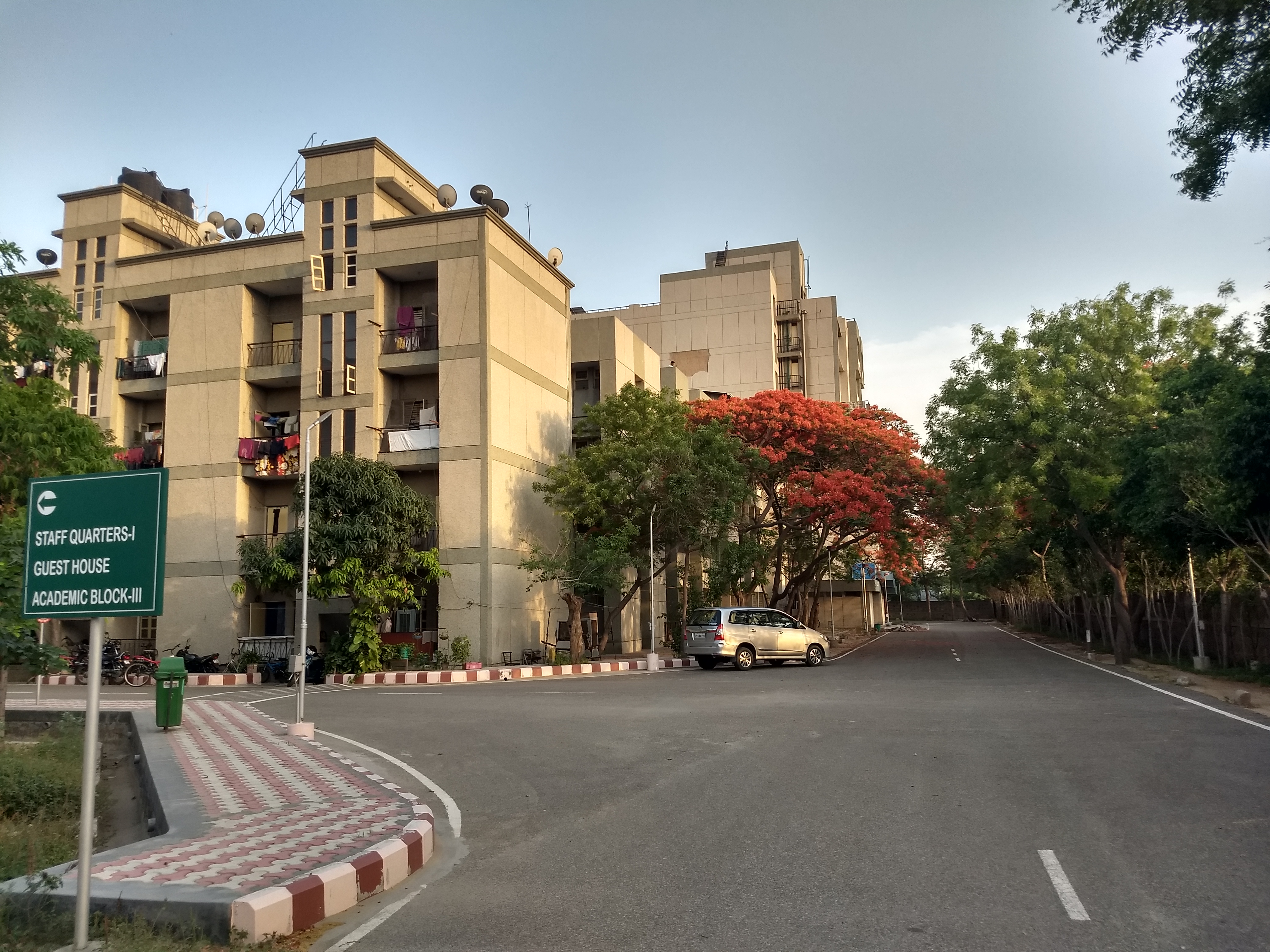 School of Management