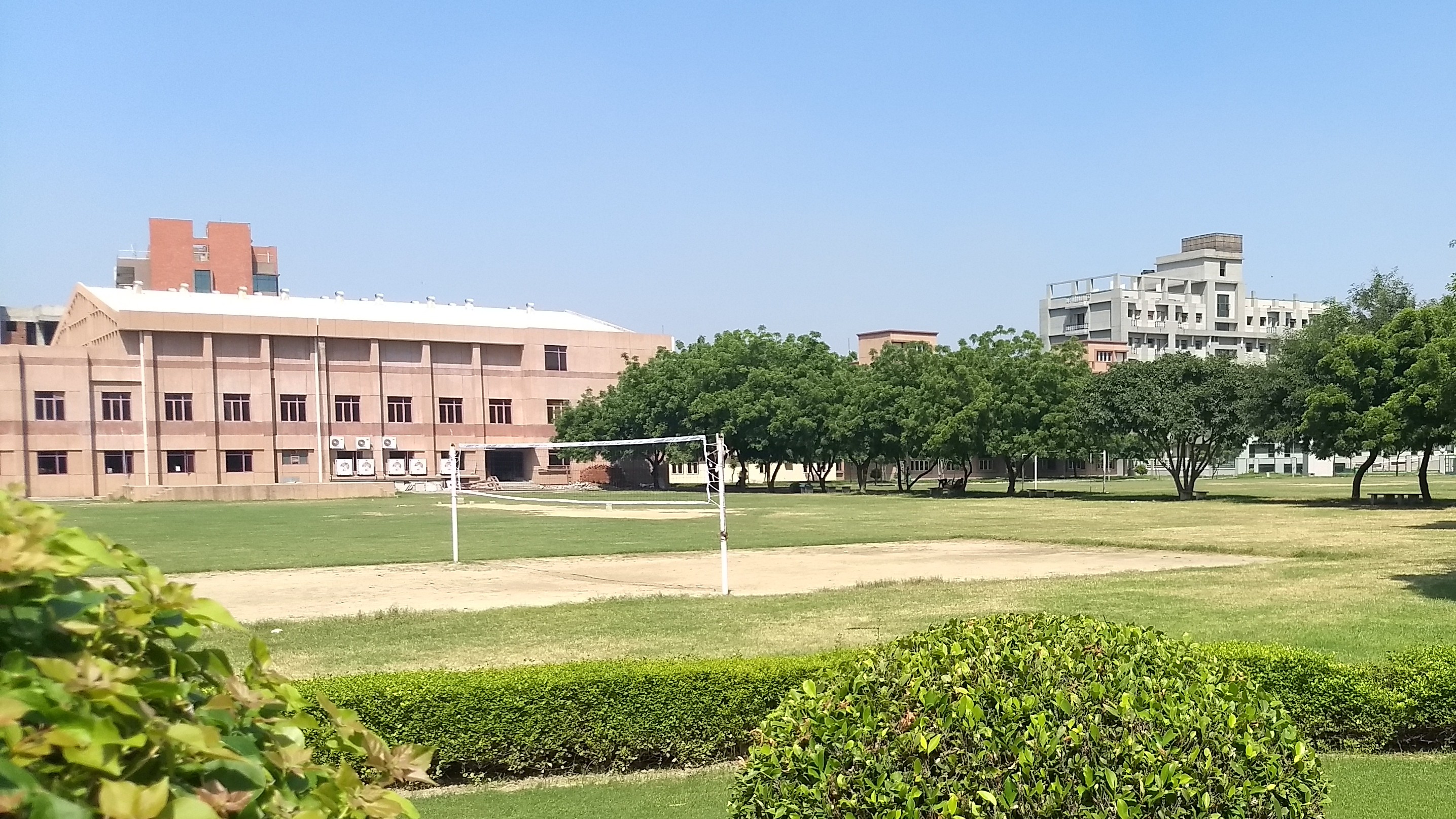 School of Humanities
