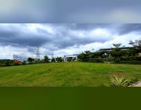 School of Commerce Campus View(1)