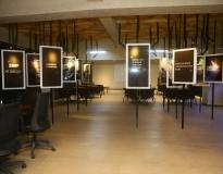 Chandigarh University (CU) Others(10) Chandigarh University (CU) Others(10)