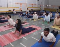 I.T.S Institute of Health and Allied Sciences Others(2) I.T.S Institute of Health and Allied Sciences Others(2)