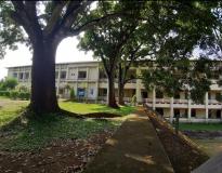 St. Thomas College, Pala Campus View(1)