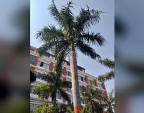 IMRT College Campus Building