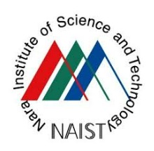 Nara Institute of Science and Technology Logo