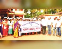 ECR Group of Institutions Others(7)