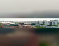 DY Patil Navi Mumbai Others