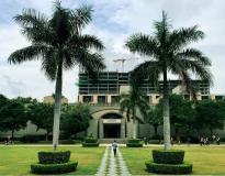 Institute of Technology Campus View(2)