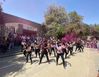 Institute of Technology Others(4)