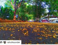 Adi Shankara Institute of Engineering and Technology Campus View(2)