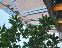 IIIT Delhi Campus Building(7)