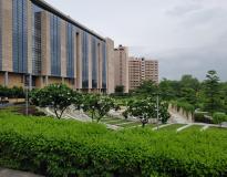 IIIT Delhi Campus View(4)