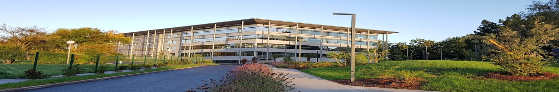 Rennes School of Business