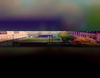 JIIT Centre for Distance and Online Education Others