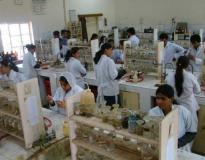 IEHE Labs(2) IEHE Labs(2)