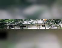 IIHS Campus Building