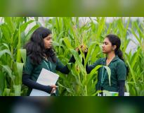 Karunya University Others(9)