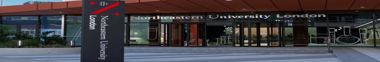 Northeastern University London