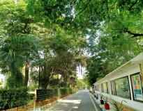 BIMTECH Online Others(2)