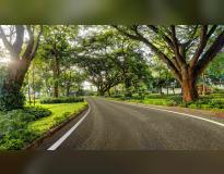 Siddaganga Institute of Technology Campus View(1) Siddaganga Institute of Technology Campus View(1)