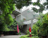 Apeejay Institute of Design Campus View(3) Apeejay Institute of Design Campus View(3)