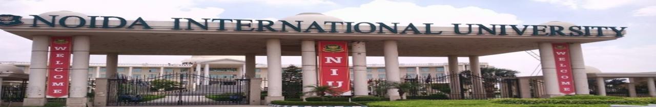 Noida International University