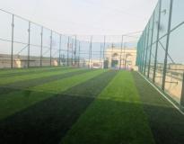 Imarticus School of Finance & Business Others