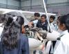 College of Aeronautical Engineering Others(1)